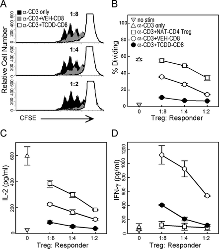 FIG. 4 Exposure to TCDD enhances the in vitro suppressive activity of alloresponsive donor CD8+ cells. F1 mice were dosed with vehicle or TCDD one day before injection of CFSE-labeled donor T-cells. On Day 2, the donor CD8+ cells that had divided two or more times were sorted as described in the Methods. Donor CD8+ cells from vehicle- or TCDD-treated mice were added to wells at 1:8, 1:4, or 1:2 per CFSE-labeled naïve CD4+ cell. Three days later, the cultures were harvested and the dilution of CFSE in the naïve CD4+ cells was measured. (A) Representative histograms for each ratio are shown as overlays, with 10,000 events per histogram. (B) The percentage of CFSE-labeled naïve CD4+ cells that had divided after three days in culture was determined for each culture condition. (C) IL-2 and (D) IFNγ were measured in the supernatants after three days of culture using cytokine bead arrays. Each data point represents the average of triplicate wells. Data shown are representative of two independent experiments.