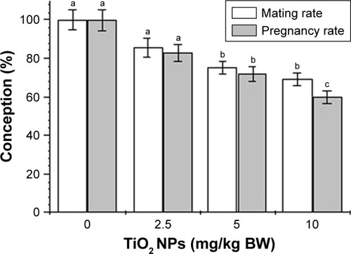 Figure 2 Effect of TiO2 NPs on conception in female mice after gavage administration for 30 days.Notes: Different letters within the same parameter indicate significant differences between groups (p < 0.05). Values represent mean ± SD (n = 10).Abbreviations: BW, body weight; TiO2 NPs, titanium dioxide nanoparticles.