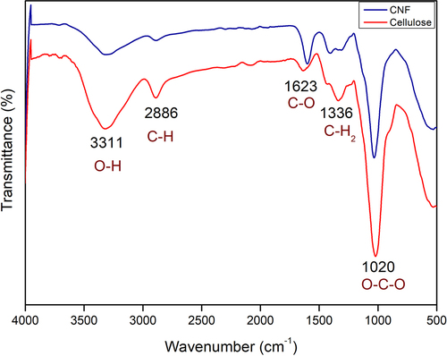 Figure 3. FTIR spectra of cellulose and cellulose nanofibers (CNFs).