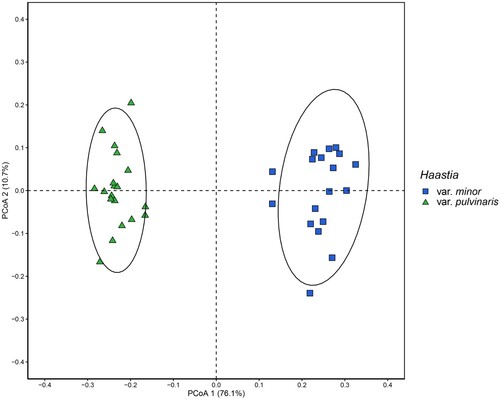 Figure 4. PCoA plot obtained from 22 morphological characters recorded from 37 Haastia pulvinaris specimens. Specimens are coloured by the variety that they were assigned to prior to statistical analysis. 95% confidence ellipses are drawn for both varieties.