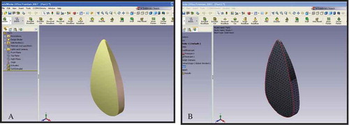 FIGURE 1 (A) 3D solid model and mesh construction of the pumpkin seed. (B) FEM mesh of pumpkin seed sample.