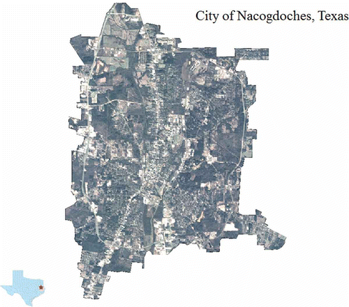 Figure 1. QuickBird pan-sharpened multispectral data encompassing the city of Nacogdoches, Texas, USA.