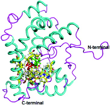 Figure 4. Three-dimensional structure of DehD Y135A mutant from Rhizobium sp. RC; 3D structure of Y135A mutant showing ball and stick representation of active site residues in yellow, Arg134 in green and Ala135 in red. (Colour version available online at: www.tandfonline.com/tbeq)