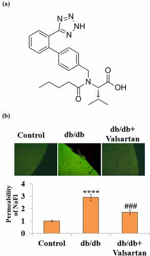 Figure 2. AT1R antagonist Valsartan attenuates diabetes-associated impairment of BBB integrity. (a). Molecular structure of Valsartan; (b). BBB permeability was measured using sodium fluorescein (NaFl)/fluorescein isothiocyanate (FITC)-Dextran permeability assay.(****, P < 0.001 vs. control, ###, P < 0.005 vs. db/db mice, N = 8)