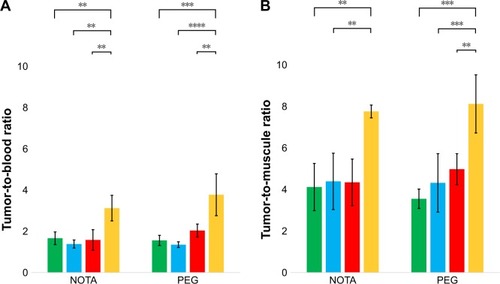 Figure 5 Tumor-to-organ ratios of radiolabeled NPs in tumor-xenografted mice.Notes: Tumor-to-blood (A) or tumor-to-muscle (B) ratios were calculated based on the biodistribution data for non-PEGylated (left) and PEGylated (right) NP-NOTA-64Cu after 24 hours of circulation. Ratios were calculated separately for each mouse based on the %ID/g data and expressed as mean ± SD involving n=4 mice per group. Statistical analysis was performed by one-way ANOVA, followed by Tukey’s multiple comparison test (****P<0.0001; ***P<0.001; **P<0.01). Green: NP1, blue: NP2, red: NP3, orange: NP4.Abbreviations: 64Cu, copper-64; %ID/g, percentage of injected dose per gram; NOTA, 1,4,7-tricarboxymethyl-1,4,7-triazacyclononane; NP, nanoparticle; PEG, polyethylene glycol.