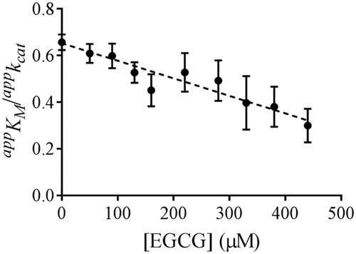Figure 1. The secondary plot of apparent kinetic parameters ratio appKM/appkcat versus [I] for the EGCG inhibition on HNE reduction. The dotted line refers to linear regression analysis fixing the intercept with the y-axis at the appKM/appkcat control value. Each value represents the appKM/appkcat ratio evaluated at the indicated EGCG concentrations. Data were obtained through non-linear regression analysis of vo vs [S] measurements using the Michaelis Menten equation. Bars (when not visible are within the symbols size) represent the standard error of the measurements.