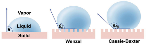 Figure 3. The Cassie-Baxter model.