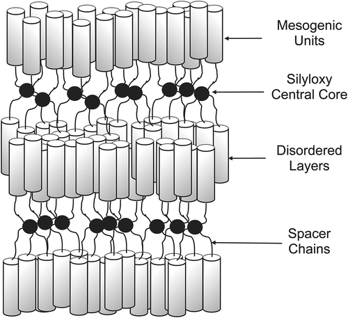 Figure 27. The structure of the lamellar phase of the alkyloxy-cyanobiphenyls substituted tetrakis-(dimethylsiloxy)silanes.