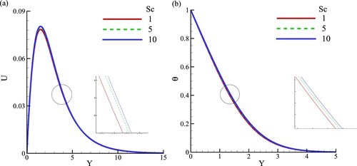 Figure 7. (a) velocity profile, (b) temperature profile for the effect of different Schmidt numbers, Sc=(1,5,10) while A = 0.2,NBT=0.2, and ϕ=0.04.