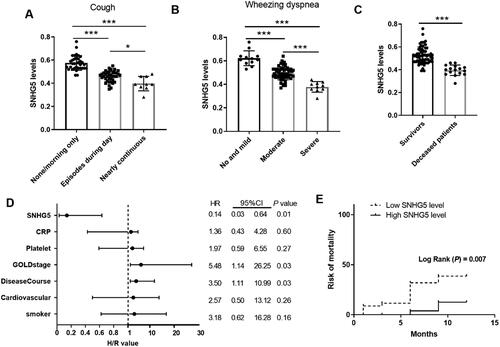 Figure 4. Prognostic value analysis of SNHG5 in COPD. A) Serum SNHG5 levels in AECOPD patients with various cough frequencies. *p < 0.05; ***p < 0.001 B) Serum SNHG5 levels in AECOPD patients with different degree of wheezing dyspnea. ***p < 0.001. C) Serum SNHG5 levels were downregulated in deceased patients compared to survivors. ***p < 0.001. D) Forest map of factors related to increased risks of death based on cox regression analysis. E) Kaplan–Meier plot of SNHG5 in predicting patients’ outcomes.