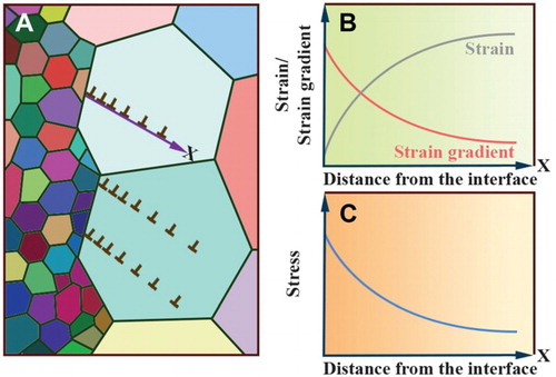 Figure 3. (A) Schematics of the piling-up of geometrically necessary dislocations. (B) Plastic strain and strain gradient as a function of distance from the domain interface. (C) The effective stress (= applied stress − back-stress) as a function of distance from the domain interface.