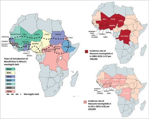 Figure 1. Impact of MenAfriVac on the incidence of MenA in areas of the meningitis belt that introduced the vaccine. Starting in 2010, the meningococcal A conjugate vaccine was introduced progressively in the 26 countries in the African meningitis belt that included: Mauritania, Mali, Niger, Chad, Sudan, Eritrea, Ethiopia, South Sudan, Central African Republic, Cameroon, Nigeria, Togo, Benin, Ghana, Burkina Faso, Cote d'Ivoire, Guinea, Guinea-Bissau, Gambia, Senegal, Democratic Republic of Congo, Uganda, Rwanda, Burundi, Tanzania, Kenya. Only 10 countries were reporting data consistently to the WHO since 2004, these countries included Benin, Burkina Faso, Chad, Democratic Republic of Congo, Ghana, Côte d'Ivoire, Mali, Niger, Nigeria, Togo.Citation28,Citation29,Citation38