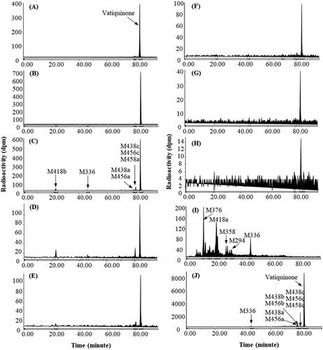 Figure 4. Representative HPLC radio-chromatograms of 1 h (A), 2 h (B), 4 h (C), 6 h (D), 12 h (E), 24 h (F), 48 h (G), and 96 h (H) plasma, 0–144 h urine (I) and 0–48 h faeces (J) from dogs following a single 100 mg/kg oral dose of 14C-vatiquinone.