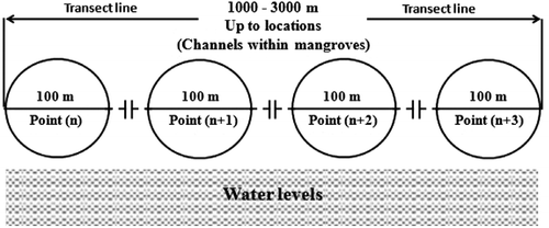 Figure 2 Randomization of sampling points among transects.