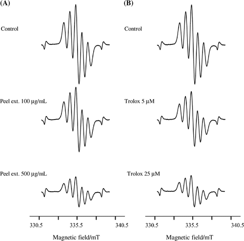 Fig. 4. Representative ESR spectra of the DPPH radical.