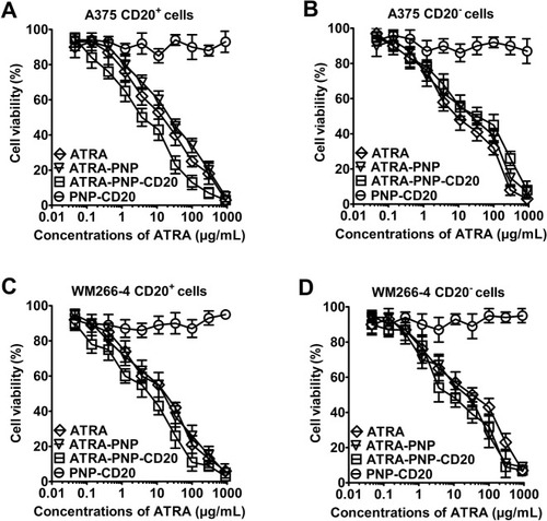 Figure 4 Cytotoxicity of nanoparticles for melanoma cells was examined using the CCK-8 assay.