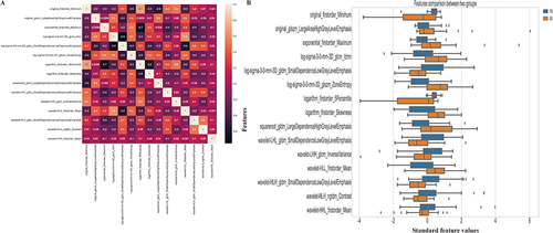Figure 3 Correlation analysis (A) and Comparison (B) of the selected features. (A) The correlation analysis heatmap of selected radiomics features. The heatmap visualizes the correlation coefficients between the selected features. Each cell in the heatmap represents the strength and direction of the correlation, with color indicating the magnitude. This analysis helps assess the relationships and potential multicollinearity among the selected features; (B) The horizontal bar plot displays a comparison of the selected radiomics features between two groups, using their standardized values. The x-axis represents the standardized values, while the y-axis displays the names of the selected features. The plot provides a visual comparison of the magnitudes of the selected features between the two groups. This information can help identify features that show significant differences between the groups.