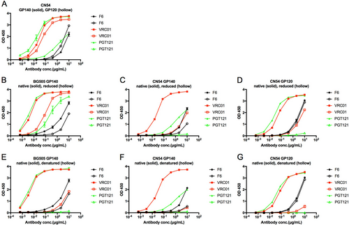 Fig. 3 The newly isolated F6 recognizes the linear epitope on GP120.a ELISA binding of F6 to HIV-1 GP140 and GP120 antigens. b–d ELISA binding of F6 to native and reduced BG505 GP140, CN54 GP140, and CN54 GP120 treated with 10 mM DTT at 37 °C for 1 h. e–g ELISA binding of F6 to native and denatured BG505 GP140, CN54 GP140, and CN54 GP120 treated with denaturing buffer (New England Biolabs) at 100 °C for 10 min