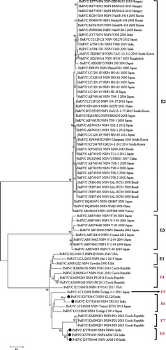 Figure 3. Phylogenetic analysis of group C rotavirus based on NSP4 genes of human, swine, cattle, dog and ferret origin at nucleotide level. Phylogenetic reconstruction was performed using maximum likelihood method (1000 bootstrap replicates) in MEGA 6 software. The Tamura-3+G algorithm was identified using Find best DNA/protein model tool available in MEGA 6 which was confirmed with FindModel online tool (http://www.hiv.lanl.gov/content/sequence/findmodel/findmodel.html). Numbers on branches indicate percentages of bootstrap support from 1000 replicates. NSP4 gene based E typing of RVC is denoted along with clusters. Host species depicted are human (Hu); cattle (Bo); pig (Por); dog (Can) and ferret. Strains/isolates are represented according to their host species, accession number, gene, strain, year of isolation and country of origin. Isolates of current study are denoted by solid dots. Established E genotypes are given in black, whereas probable new genotypes based on percent divergence at nucleotide level are marked in red color alongside the isolates.