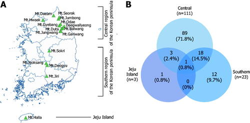 Figure 2. Regional distribution of A mating type alleles in wild strains of Lentinula edodes of Korea. (A) Map of collection sites. Closed triangles indicate the mountains where wild strains were collected in this study and a previous study [Citation14]. (B) Venn diagram showing distinct and common A mating type alleles in different regions. The number and percentage of unique and common alleles are indicated in circles. All alleles identified in wild strains by this study and a previous study [Citation14] were included in the analysis.