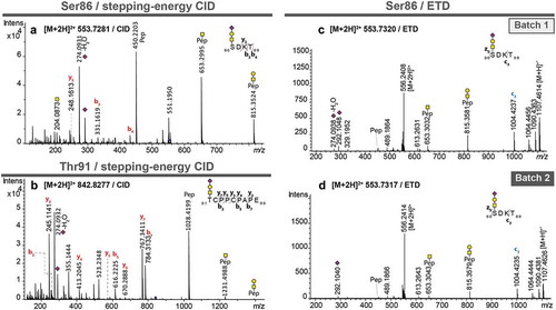 Figure 3. MS/MS spectra of pronase-treated O-glycopeptides of atacicept. (a) Stepping-energy CID spectra of the O-glycopeptide 86SDKT89 covering glycosylation site Ser86 with a monosialylated core 1-type glycan. (b) Stepping-energy CID spectra of the O-glycopeptide 91TCPPCPAPE99 covering the glycosylation site Thr91 with a monosialylated core 1-type glycan. (c + d) ETD spectra of the O-glycopeptide 86SDKT89 covering glycosylation site Ser86 carrying a monosialylated core 1-type glycan from two different production batches. Compounds with the same mass and retention time from two different production batches were compared featuring the same fragmentation pattern and thus, could be identified as the same glycopeptides.