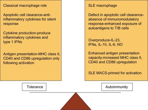 Figure 6 Dysregulation of macrophage function in systemic lupus erythematosus (SLE).Abbreviation: MHC, major histocompatibility complex; INFs, Interferons; MHC, major histocompatibility complex; CD40, cluster of differentiation 40; CD86, cluster of differentiation 86; IL, interleukin; NO, nitrous oxide; SLE MACS, SLE macrophages.