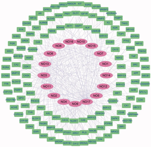 Figure 1. The compound-target network of C. Flos. The ellipse in purple indicates the bioactive compounds and the rectangle in green indicates potential targets.