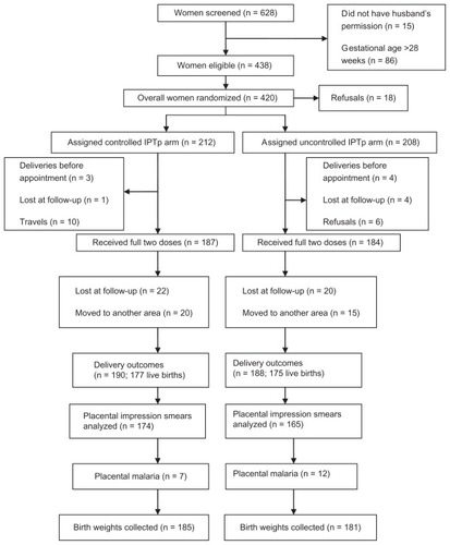 Figure 1 Trial profile.Abbreviation: IPTp, intermittent preventive treatment during pregnancy.