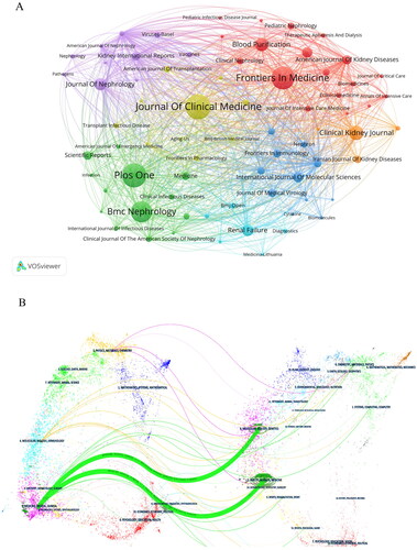 Figure 6. Analysis of the journals. (A) VOSviewer network map of journals. (B) The dual-map overlay of COVID-19-related AKI. (A) Journal clustering view. Each node represents a journal, and the size of the node is proportional to the number of publications in the journal. The width of the links between nodes reflects the strength of cooperation between the corresponding journals. Node colors represent different clusters. (B) Double graph overlay of journals. Each point represents a journal. The map is divided into two parts. The left side is the citation map, the right side is the cited map, the curve is the citation curve, the length of the ellipse represents the number of authors, the width of the ellipse represents the number of publications, and the curve between the left and right parts of the map is the citation link.