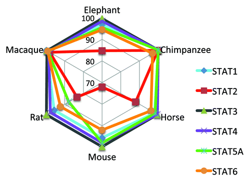 Figure 1. Sequence similarity of STAT family members among select mammalian species. The full length protein sequences of STATs 1, 2, 3, 4, 5A and 6 were aligned against the human sequence for each of the species shown in the radar plot. The Clustal alignment algorithm within MacVector was used for the alignment, and the percent sequence similarity to human in pair-wise comparisons is plotted in the graph.