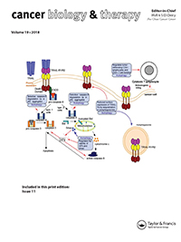 Cover image for Cancer Biology & Therapy, Volume 19, Issue 11, 2018