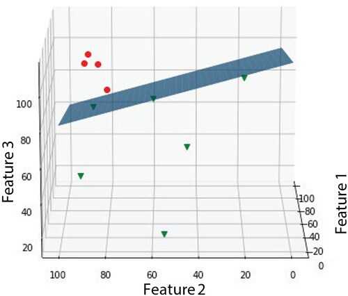 Figure 17. Linear separation scheme based on the support vector machine.