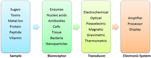 Figure 5. Schematic showing the essential components of a biosensor.