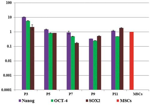 Figure 1. Gene expression of pluripotent genes during in vitro passaging relative to MSCs gene expression, the result showed gradual down-regulation of the expression.