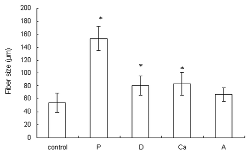 Figure 2. The fiber sizes of the dry samples. Data are presented as the mean ± SD (n = 15). *Indicates data significantly different from the control sample (p < 0.05).