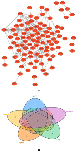 Figure 5 Hub genes of AID-DEGs were selected. (A) Protein interaction analysis of 114 genes using the STRING online website. (B) Venn diagram intersection of the top 10 genes.