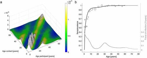 Figure 1. Who-Acquired-Infection-From-Whom matrices (a) and age-specific VZV seroprevalence data with model prediction and corresponding age-specific force of infection (b)