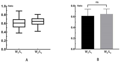 Figure 4 The consistency between W1/L1 and W2/L2. (A): The overall distribution of W1/L1 and W2/L2; (B): The result of t-test shows that there is no significant difference between the two.
