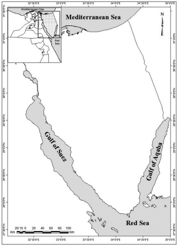 Figure 1. The study area location map: Sinai Peninsula, Egypt.