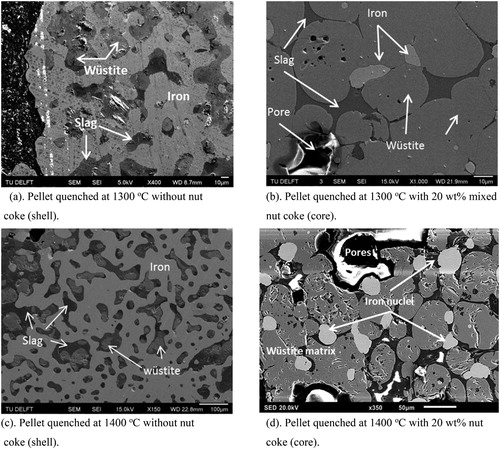 Figure 4. SEM–EDS micrographs of the quenched pellet sections.