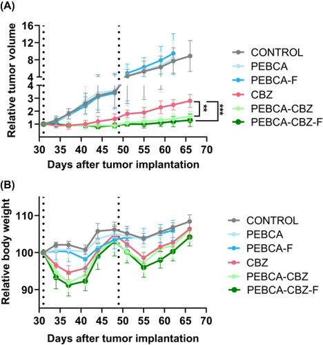 Figure 7 In vivo efficacy of PACA NP variants. Athymic nude mice were implanted with HBCx39 tumors on the mammary fat pad. Treatment with various CBZ loaded NPs/free CBZ (i.v. administration) was started approximately 4 weeks after implantation when palpable tumors were developed and reached a diameter of around 5–6 mm. Treatment doses equivalent to 20 mg/kg b.wt of CBZ were given as first dose and half of this dose was administered later as a second dose, approximately in week 7 after implantation (indicated by dotted lines). Empty NPs (labelled as PEBCA and PEBCA-F) and saline were used as controls. (A and B) Relative tumor volume and body weight changes respectively with respect to treatments with CBZ loaded PEBCA NP variants (N=8–10 tumors/group). Data are presented as mean of relative tumor volume ± SD. Statistical analysis was based on p-values generated by one-way ANOVA followed by Tukey’s multiple comparison test (**p = 0.006, ***p = 0.0006). The NP batches used here (including empty NPs) have similar size and zeta potential as the batches shown in Figure 1B.