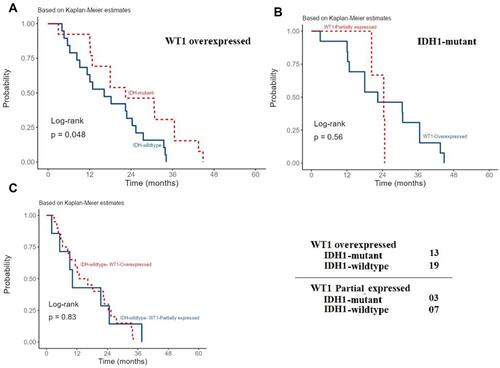 Figure 4 Recurrence interval among patients with glioblastoma and different IDH1 status and WT1 expression. The recurrence interval among patients with WT1 overexpression significantly differs between wild-type and mutant IDH1 (P-value < 0.048) (A). This significance was not observed among cases with mutant IDH1 and partially expressed or overexpressed WT1 (P-value = 0.56) (B) as well as among cases with wild-type IDH1 and WT1 partial or overexpression (P-value = 0.83) (C).