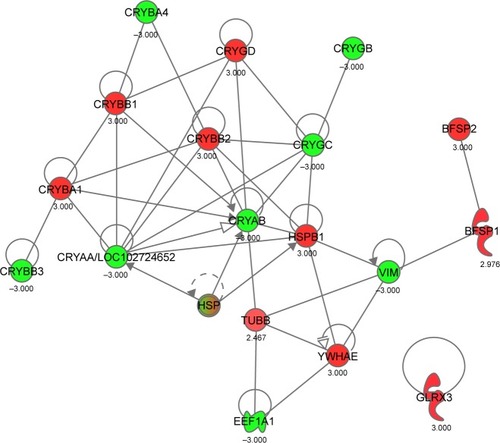 Figure 5 Direct interactions found in query data in string database.