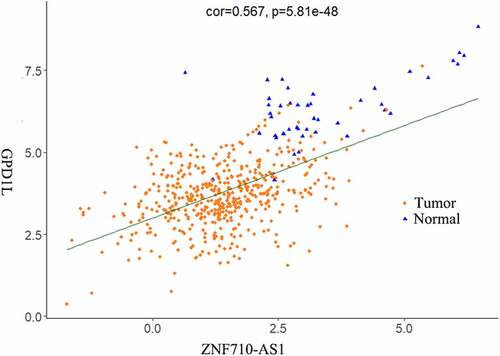 Figure 2. Scatter plot of the expression of lncRNA ZNF710-AS1 and mRNA GDP1L in HNSCC and normal tissues. The lncRNA-mRNA exhibited similar expression pattern in HNSCC tissues and non-HNSCC normal tissues and showed the strongest correlation in the Pearson correlation analysis of all the 1998 DEGs, 80 DEMs, 1019 DELs