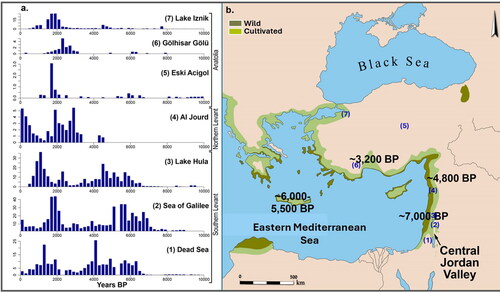Figure 3. (a) Olive pollen percentages during the Holocene in the Eastern Mediterranean (note the different percentages of vertical scales). Olea horticulture was indicated when olive pollen ratios increased fairly suddenly, were not accompanied by a rise of other Mediterranean sclerophyllous trees and when the increase occurred with consistent presence of archaeological and archaeobotanical evidence (Langgut et al. Citation2019). (b) Geographical distribution of wild and cultivated olives throughout the Eastern Mediterranean and suggested dates for the beginning of olive cultivation. Modified after Langgut et al. Citation2019 (Figures 1, 3 and 8).