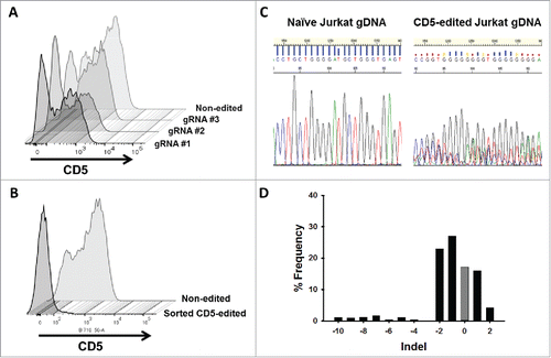 Figure 4. CD5 knockout in Jurkat T cells using CRISPR-Cas9 genome editing. (A) CD5 expression, measure by flow cytometry, in Jurkat T cells five days following mock transfection or transfection with plasmid encoding Cas9 and one of three different gRNA target sequences. Histogram plots for CD5 expression in mock transfected and transfected Jurkat T cells are shown along a single axis. (B) Overlay image of histogram plots of CD5 expression in naïve Jurkat T cells and flow-sorted CD5-negative Jurkat T cells that were transfected with the CD5-CRISPR gRNA #2. (C) Representative Sanger sequencing traces from naïve (top left) and sorted CD5-edited (top right) Jurkat T cell genomic DNA PCR amplified for CD5. TIDE analysis of the frequency of indels within the CD5 gene after the predicted break-site generated by Cas9 (D). Results show 77% CD5-negative cells were edited with 27% having a −1 deletion.