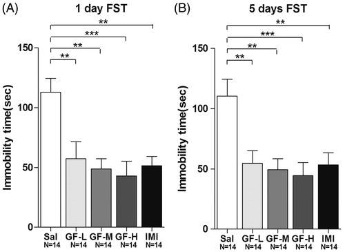 Figure 4. Griflola frondosa (GF) treatment demonstrated significant antidepressant effects in the forced swim test (FST). CD-1 mice were fed with their regular mouse chose, a low dose of Griflola frondosa (GF powder:mouse chow =1:4, GF-L); a medium dose of Griflola frondosa (GF powder:mouse chow =1:2, GF-M); or a high dose of Griflola frondosa (GF powder:chow food =1:1, GF-H). For the positive control group, mice were i.p. injected with imipramine (15 mg/kg/day, IMI). Mice in the negative control group were i.p. injected with saline (Sal). One day or five days after the GF-containing food intake, mice were subjected to the FST. The number of mice per group is indicated in each individual graph. Data were analysed by one-way ANOVA and presented as the mean ± SE (post hoc Tukey’s test, *p < 0.05, **p < 0.01, ***p < 0.001). (A) One day after the administration, GF treatment significantly reduced immobility time in the FST. (B) Five days after the GF administration, GF also significantly reduced immobility time in the FST.
