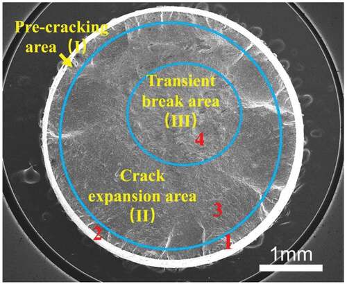 Figure 6. Fracture morphology of rotating bending fatigue specimens in 718Plus superalloy at high temperature.