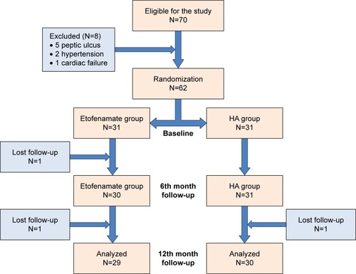 Figure 2 Flow chart of the patients in the study.