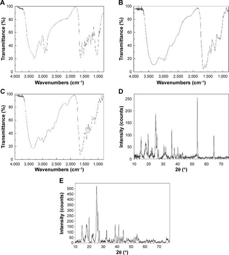 Figure 3 FTIR spectra of the (A) nHA/PA66, (B) SF-nHA/PA66, (C) CNT/SF-nHA/PA66 scaffolds. XRD patterns of the (D) nHA/PA66, and (E) CNT/SF-nHA/PA66 scaffolds.Abbreviations: CNT, carbon nanotube; FTIR, Fourier transform infrared spectra; nHA, nano-hydroxyapatite; PA66, polyamide 66; SF, silk fibroin; XRD, X-ray diffraction.